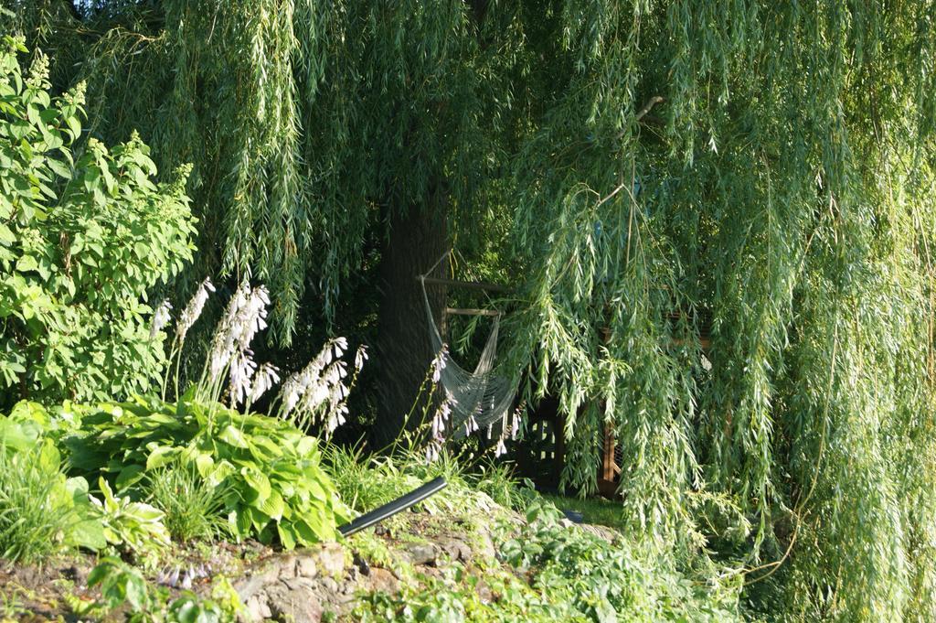 La Belle Aux Berges Bed & Breakfast Saint-Denis-sur-Richelieu Eksteriør bilde