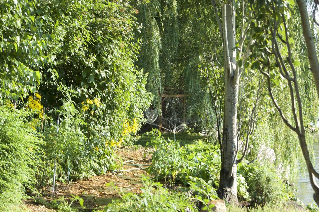 La Belle Aux Berges Bed & Breakfast Saint-Denis-sur-Richelieu Eksteriør bilde